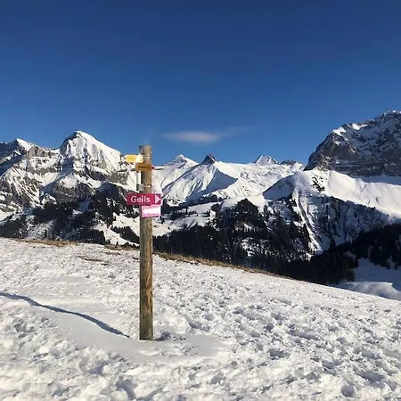 Appartement 1-room * Directly By The Cable Car * Bernese Alps