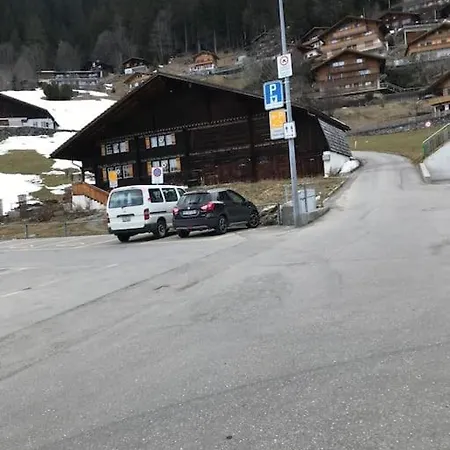Apartment 1-room * Directly By The Cable Car * Bernese Alps