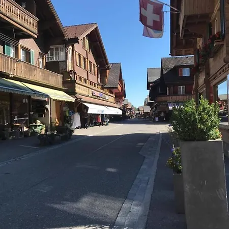 Appartement 1-room * Directly By The Cable Car * Bernese Alps