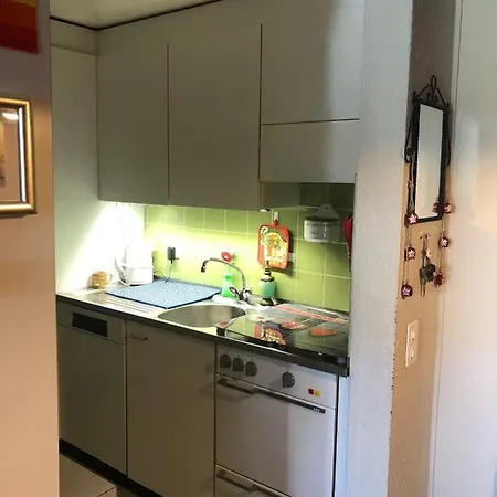 1-room * Directly By The Cable Car * Bernese Alps Apartment