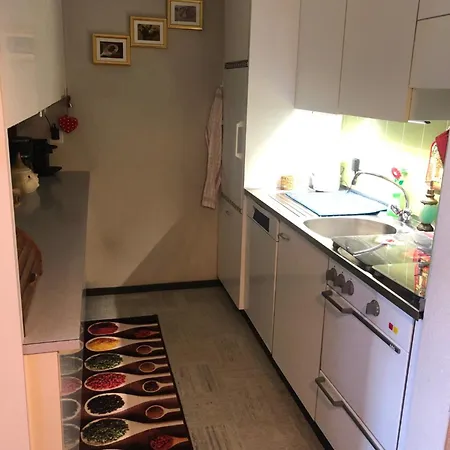 1-room * Directly By The Cable Car * Bernese Alps