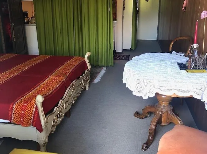 1-room * Directly By The Cable Car * Bernese Alps Apartment