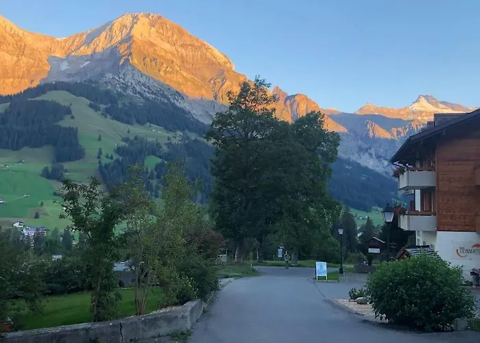 1-room * Directly By The Cable Car * Bernese Alps Lejlighed Adelboden