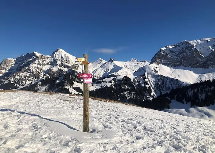 Apartment 1-room * Directly By The Cable Car * Bernese Alps