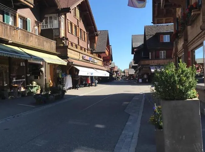 Lejlighed 1-room * Directly By The Cable Car * Bernese Alps