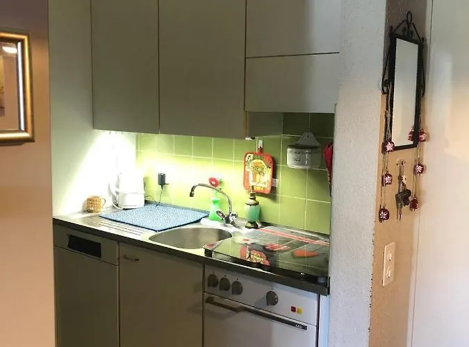 1-room * Directly By The Cable Car * Bernese Alps Apartment