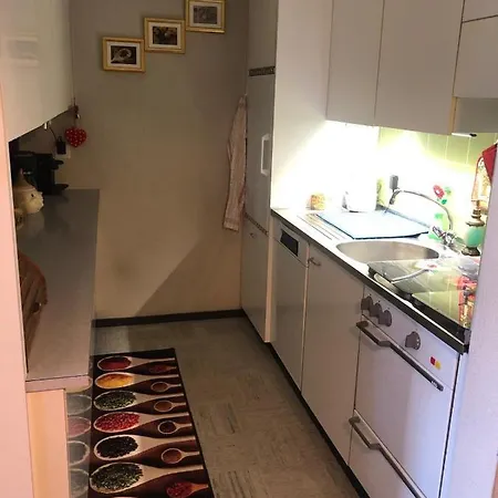 公寓 1-room * Directly By The Cable Car * Bernese Alps *