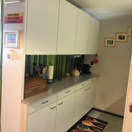 1-room * Directly By The Cable Car * Bernese Alps 阿德尔博登