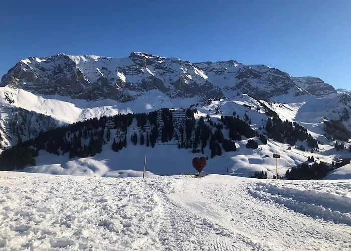 Lejlighed 1-room * Directly By The Cable Car * Bernese Alps