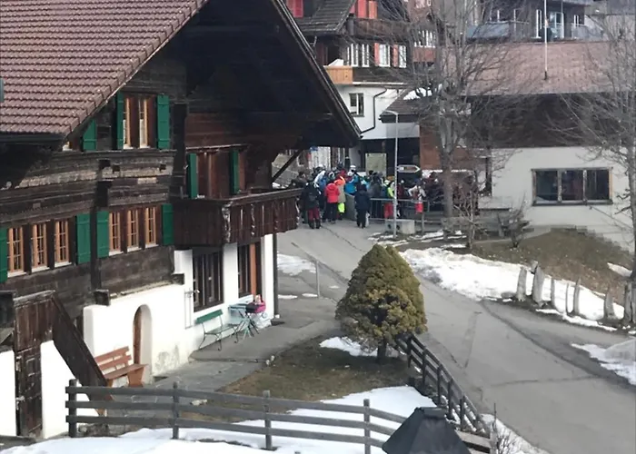 1-room * Directly By The Cable Car * Bernese Alps Lejlighed